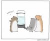 small_hamster_party-600x500.jpg