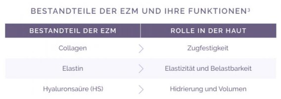 tableau_ECM-component-&-Role-in-the-skin_DE.jpg