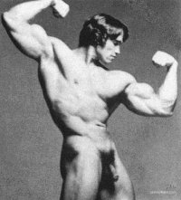 arnold-schwarzenegger-nude-22-bilder-13-videos_5e936cb86968f.jpeg