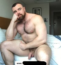 Big-Beefy-British-Bulls-bear-flaccid-silver-e1545561765546_LI.jpg