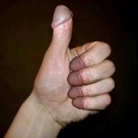 300px-Penis_fingers.jpg