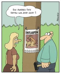 Perscheid-Hund-entlaufen.jpg