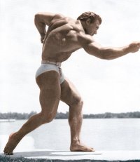 04e706ae7061a50fc68b2e9ebfa9211a--strike-a-pose-bodybuilders.jpg