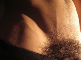 pubes _t' (2).jpg