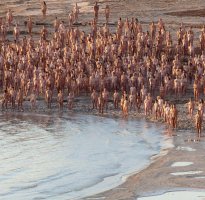 Spencer-Tunick-Creates-Naked-Dead-Sea-Photo-Shoot.jpg