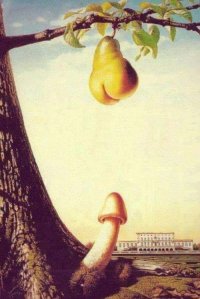 fruta erotica.jpg