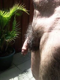 fav pubes0.jpg