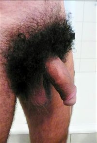 pubes g9g9 4005 34953 45a.jpg