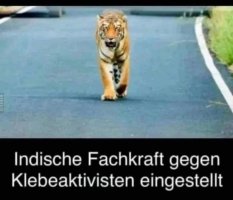 indische-Fachkraft.jpg