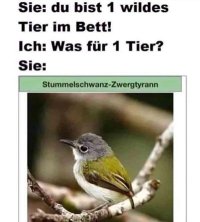 wildes-tier.jpg