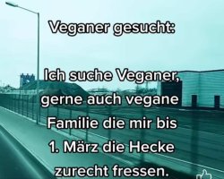 veganer-gesucht.jpg