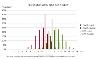 Human_penis_sizes.svg.png