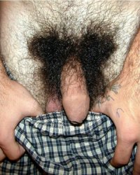 pubes 0tw't.jpg