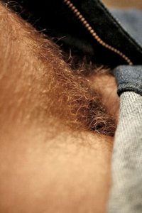 pubes-zipper.jpg