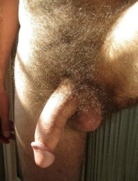 pubes _5'354_.jpg