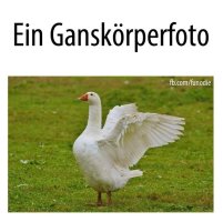 Ganskörperfoto.jpg