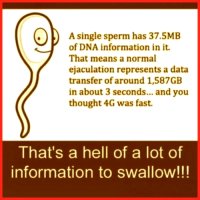 sperm-information-swallow.jpg