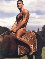 a736ebe1f23dd95b9e7900757673dd86--brown-horse-horseback-riding.jpg