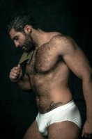 f82afa896f86f8a02d4d92f4db9a59ce--beard-man-hairy-chest.jpg