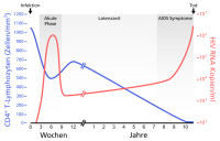 Verlauf_einer_HIV_Infektion1.png