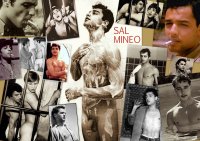 SAL MINEO.jpg