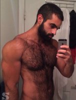 acb7602518cf4662adbad470683a37d8--beard-man-hairy-chest.jpg