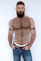 dce2733a48bde3fb09c6df10c038ccb5--hairy-men-bearded-men.jpg