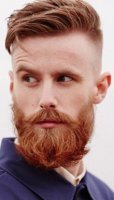 5b93770d0ca8629f560c728823e209cf--ginger-beard-ginger-men.jpg