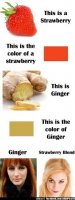 0c74e5a802b33d8cdb7f0a9e9035a94d--ginger-quotes-red-heads.jpg