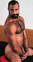 d5c7a3cee65eaa1d4ce5b1e16d064f36--daily-word-hairy-men.jpg