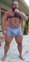 bbfd11dec68565a2ccfef8e292619964--daddy-bear-big-guys.jpg