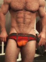 gayfantasy.blogspot.de 01798 (51).gif