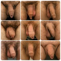 penis schwanz cock dick 01937 gayfancy (13).jpg