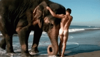 nackt boy feriengayfancy 01848a (4).gif