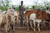 0062-Ethiopia-Omo-Valley-Hamar-Tribe-Young-Man-Nudity-Penis-Cattle-Jumping-Rituals-2015.jpg