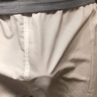 geile shorts 01940a gayfancy  (5).gif