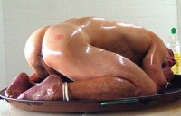 nude boys oiled bodies 01932a gayfancy (17).jpg