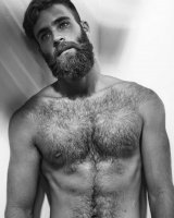 b2a84ef0f7a57bf92eb0b9f921b8ac5a--bearded-men-hairy-men.jpg