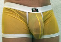 gay thongs gayfancy 01810 (12).jpg