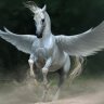 Pegasus